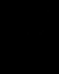 White Group logo